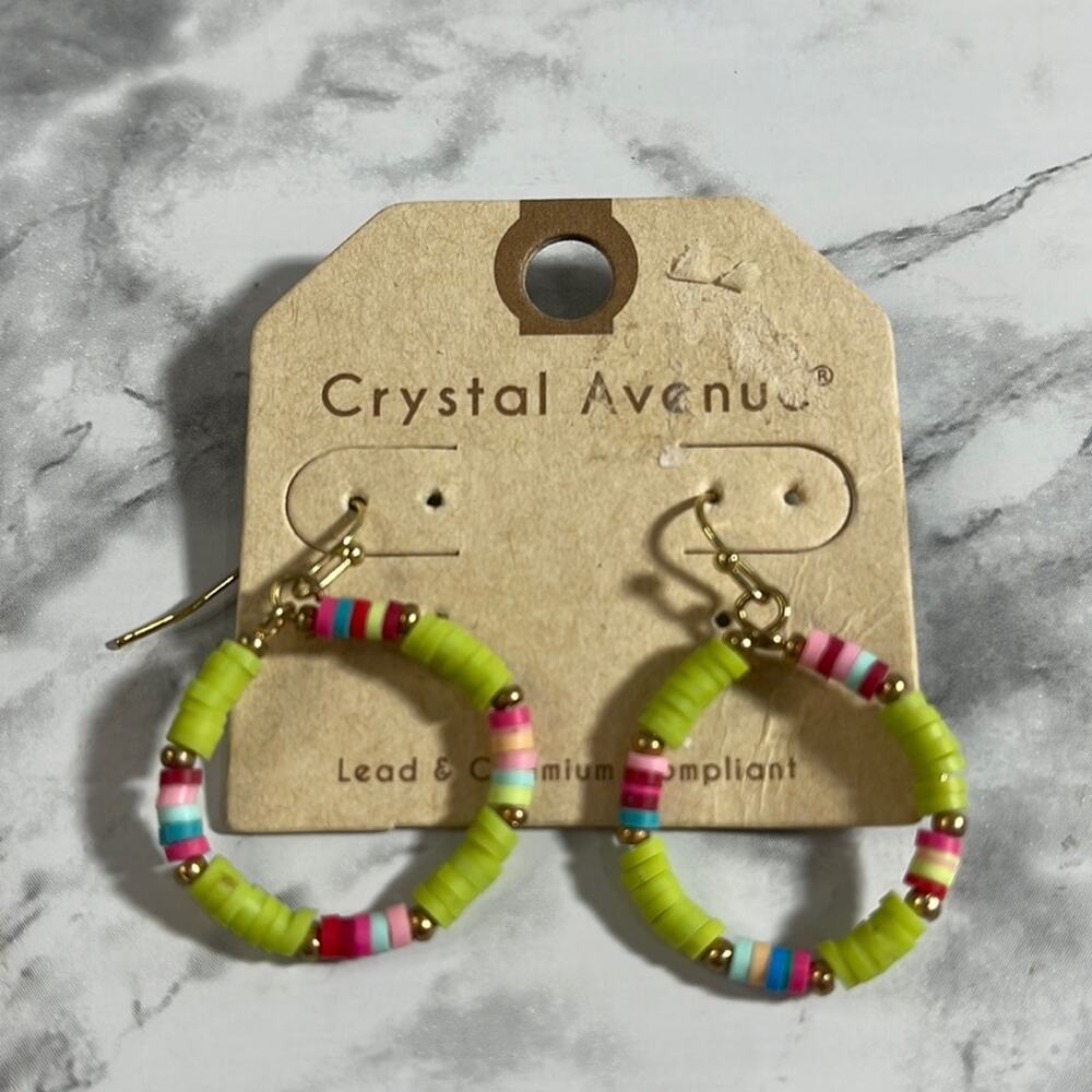Crystal Avenue Hoop Earrings with Fish Hook Backs